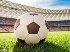 郑钦文排名,跃升至第五,状态回暖,开云体育,开云体育官网,开云体育app,开云体育app下载