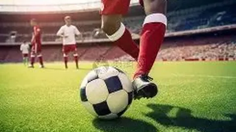 新加坡在香港世界运动会摘得1金1银1铜佳绩